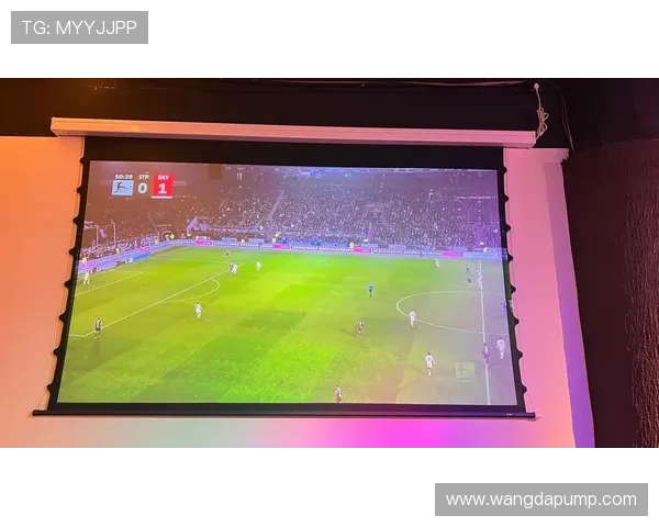 51网站免费观看足球赛事直播精彩不停，球迷必看高清直播平台推荐