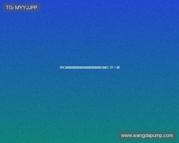 BBC：水晶宫有意狼队中场若昂·戈麦斯，将面临马竞的竞争-直播吧2-28-1-副本